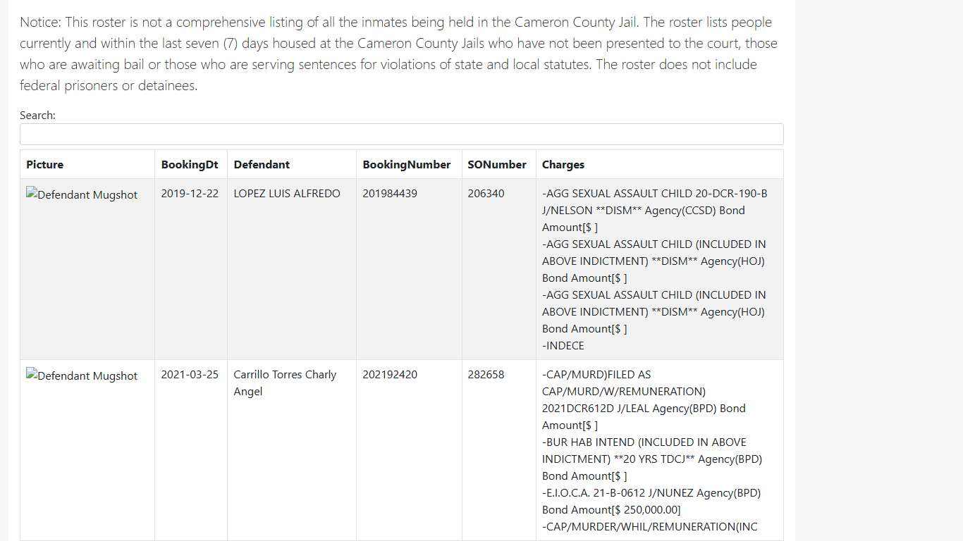 Cameron County Inmate List